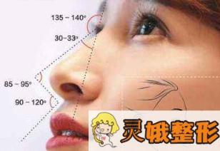 有关鼻子假体的表皮投射