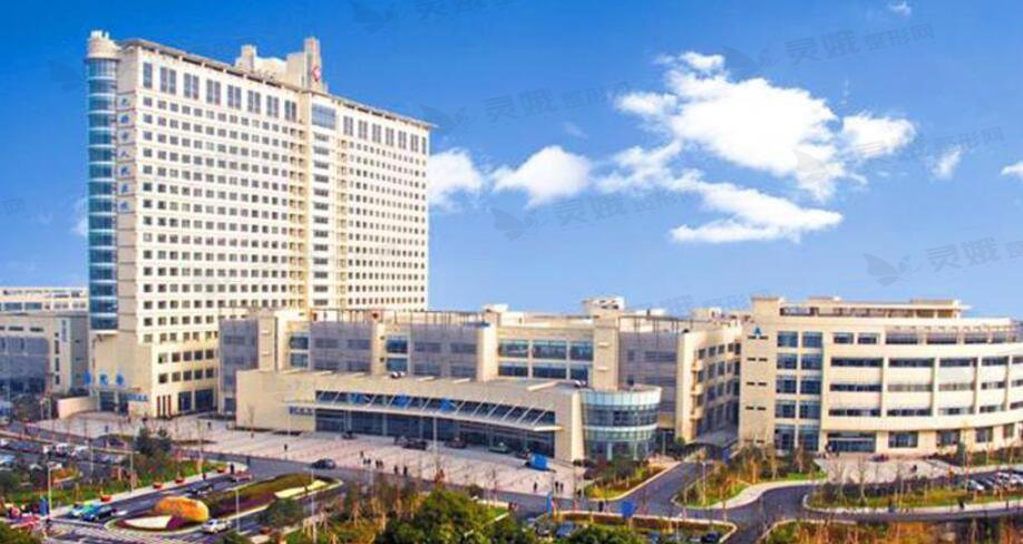 杨松林
