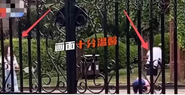 贾乃亮李小璐复婚?