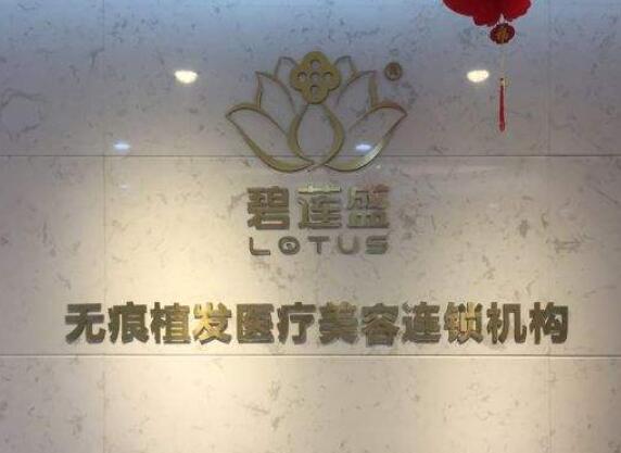 广州碧莲盛植发.jpg